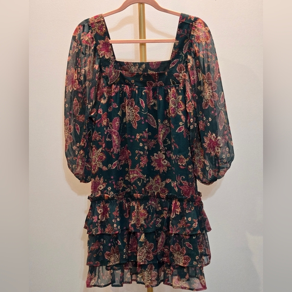 Band of the Free Mandy Floral Pine Berry Sheer Sleeve Dress Size S - Picture 6 of 6